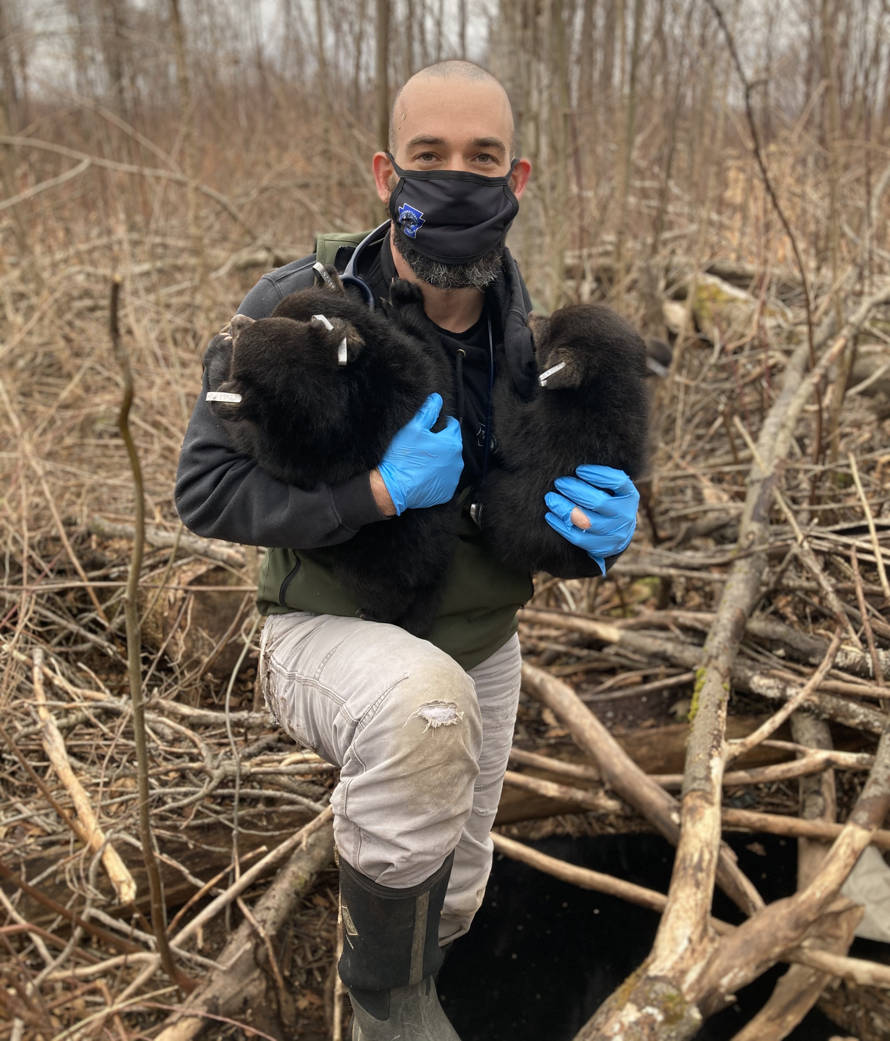 Alumni Spotlight Andrew Di Salvo, DVM ’15, Pennsylvania Game